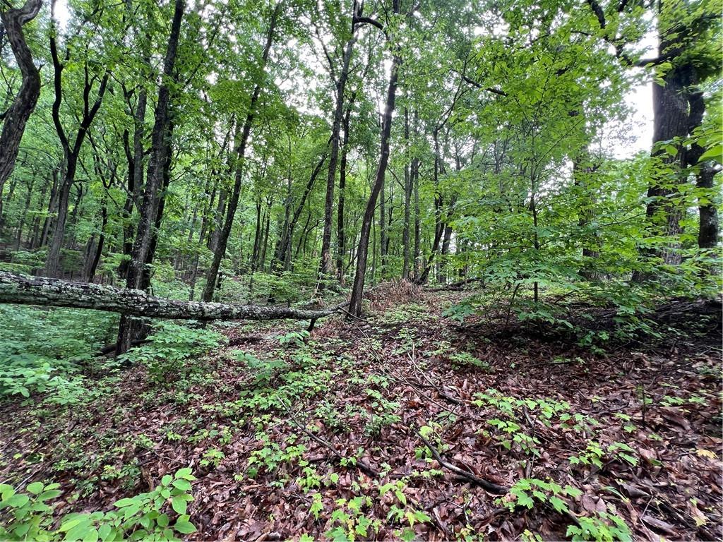 245 Sassafras Mountain Trail, Jasper, Georgia image 7