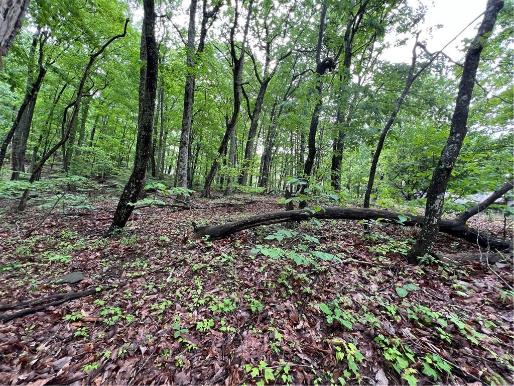 245 Sassafras Mountain Trail, Jasper, Georgia image 6