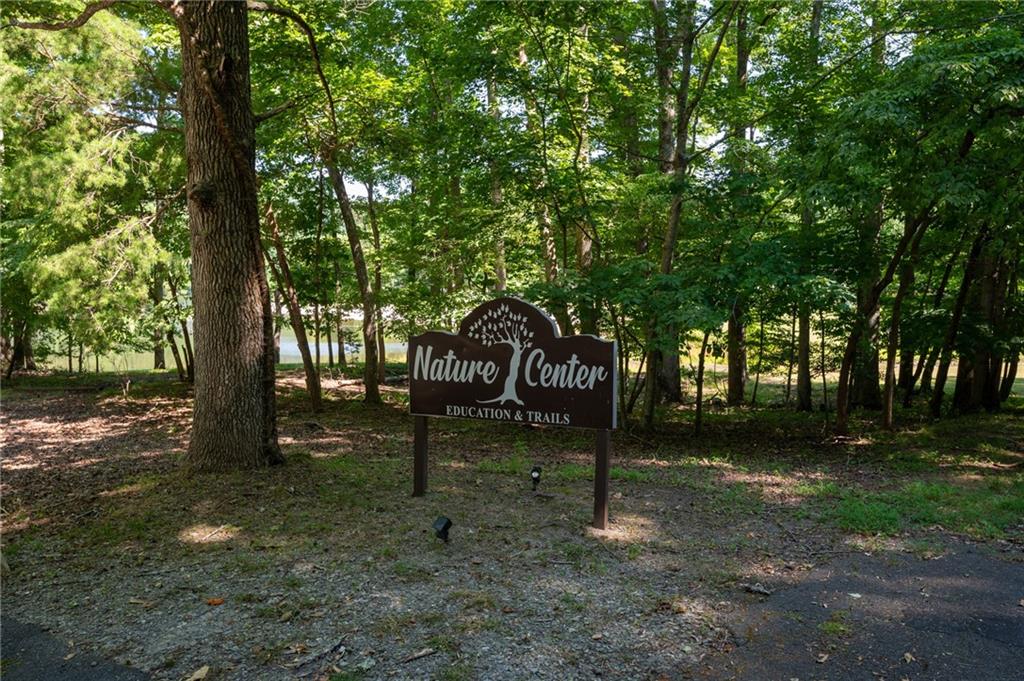 245 Sassafras Mountain Trail, Jasper, Georgia image 16