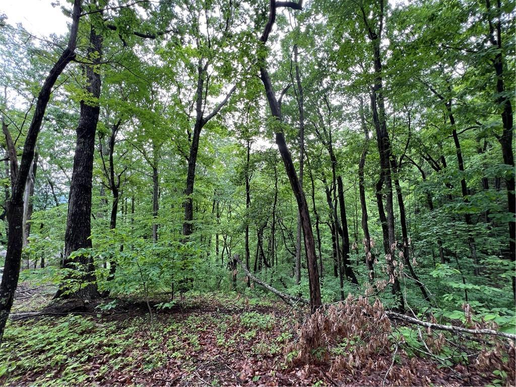 245 Sassafras Mountain Trail, Jasper, Georgia image 4