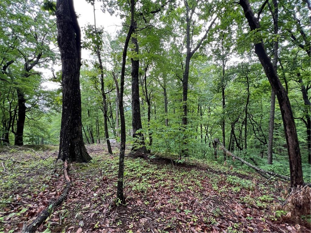 245 Sassafras Mountain Trail, Jasper, Georgia image 3