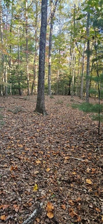 5 Gold Mine Road, Morganton, Georgia image 1