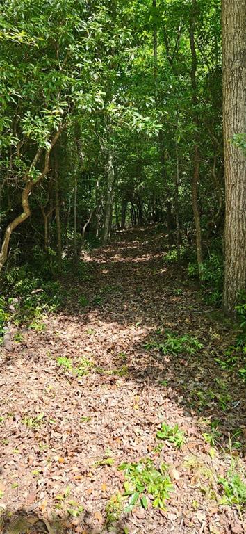 5 Gold Mine Road, Morganton, Georgia image 2