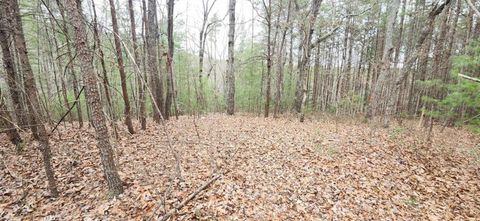 Vacant Land For Sale - 361 Vista Dell Lane<br/> Tallulah Falls, GA 30573