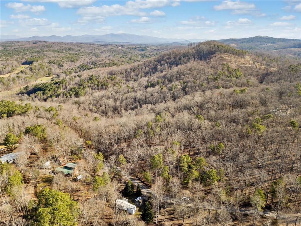 000 N Bull Gap Road, Talking Rock, Georgia image 8