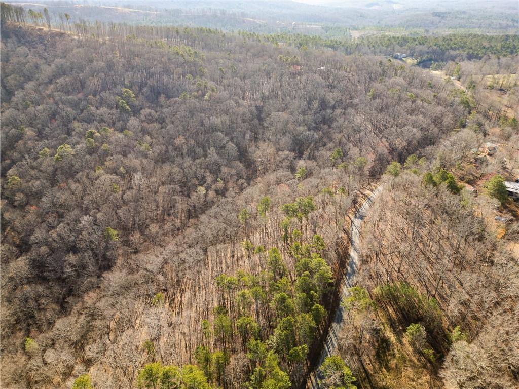 000 N Bull Gap Road, Talking Rock, Georgia image 5