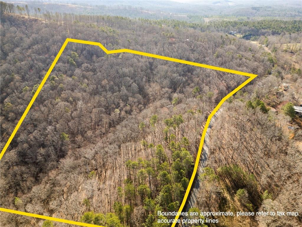 000 N Bull Gap Road, Talking Rock, Georgia image 14