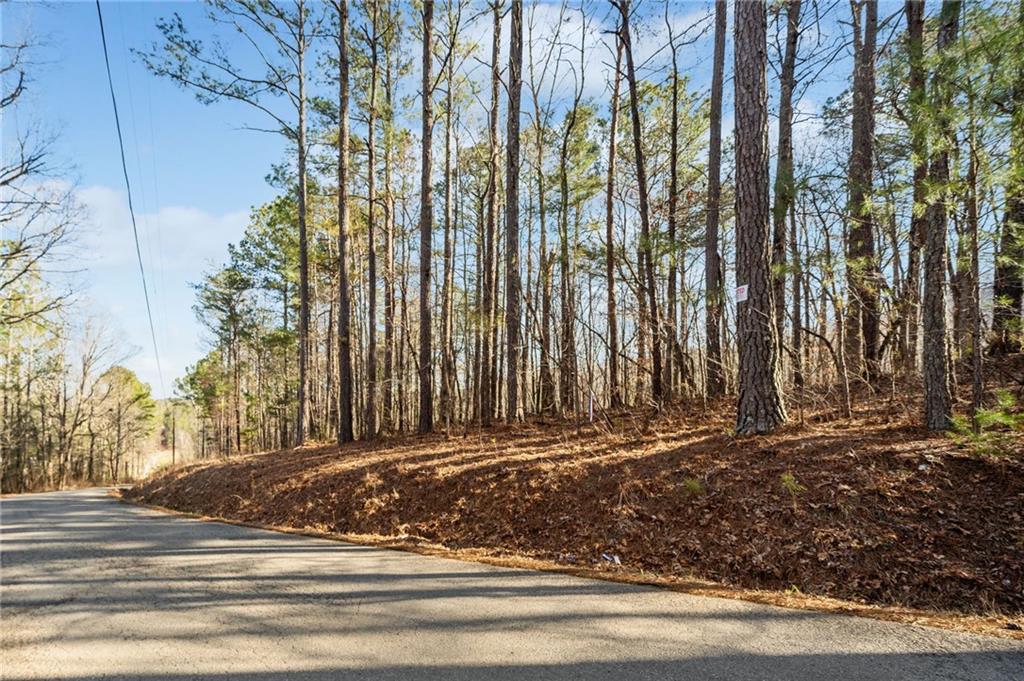 000 N Bull Gap Road, Talking Rock, Georgia image 11