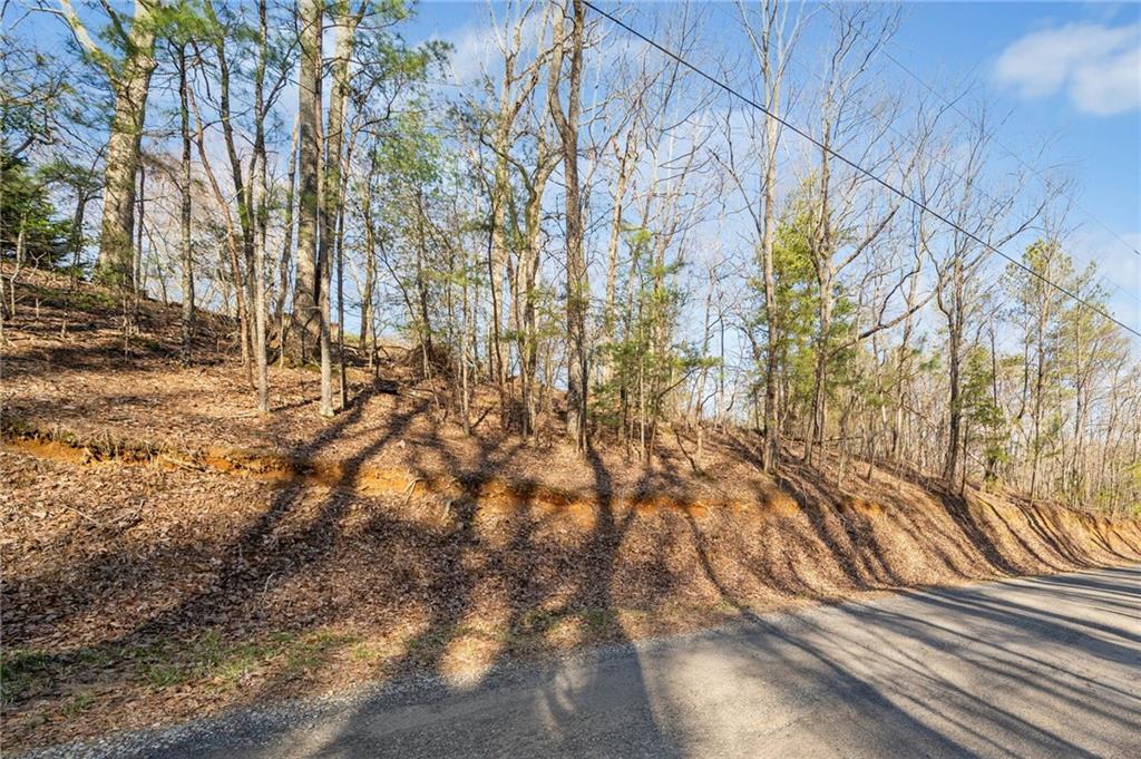 000 N Bull Gap Road, Talking Rock, Georgia image 10