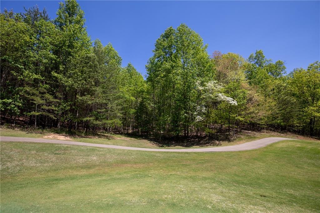 2455 Wilderness Parkway, Big Canoe, Georgia image 12