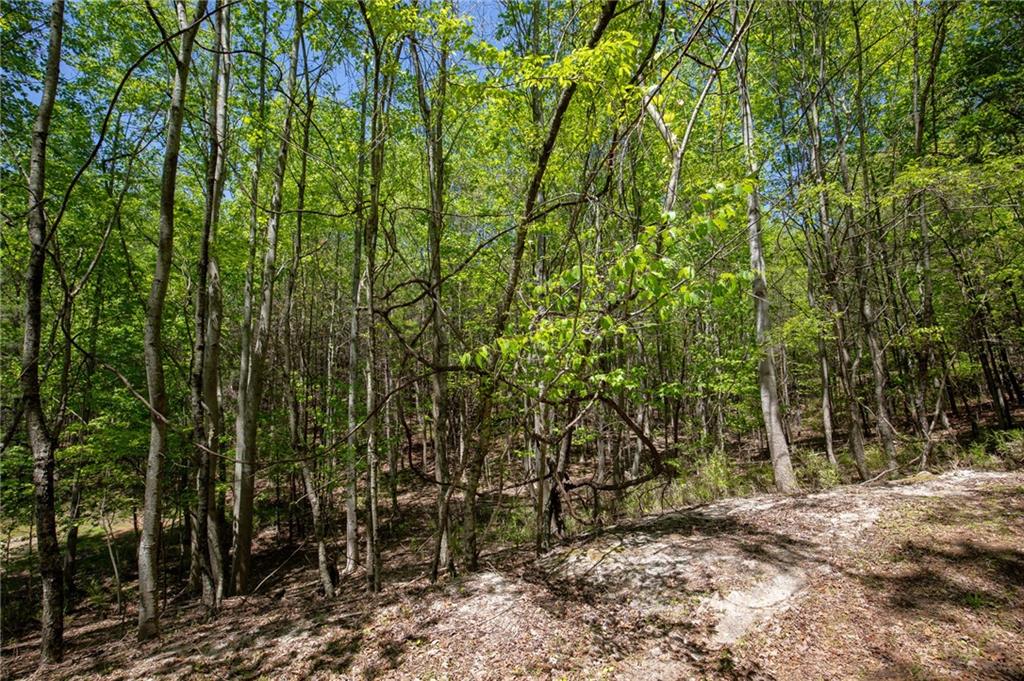 2455 Wilderness Parkway, Big Canoe, Georgia image 15