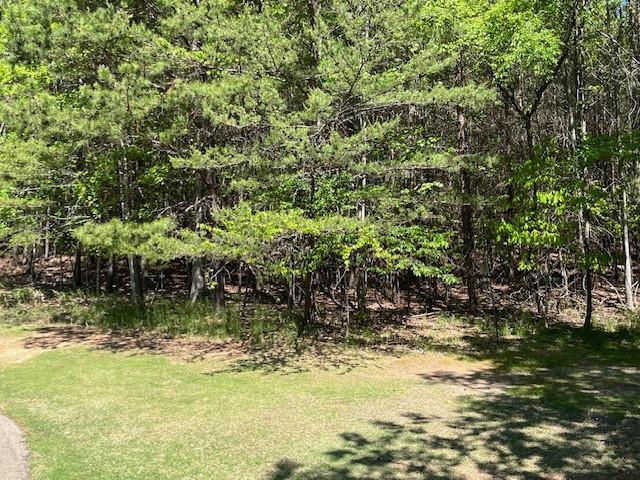 2455 Wilderness Parkway, Big Canoe, Georgia image 4
