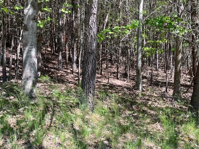 2455 Wilderness Parkway, Big Canoe, Georgia image 6