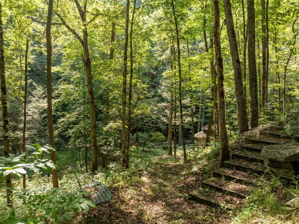 382 Quail Run Court, Talking Rock, Georgia image 14