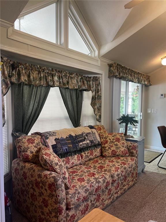 120 Creekview Drive, Cleveland, Georgia image 15