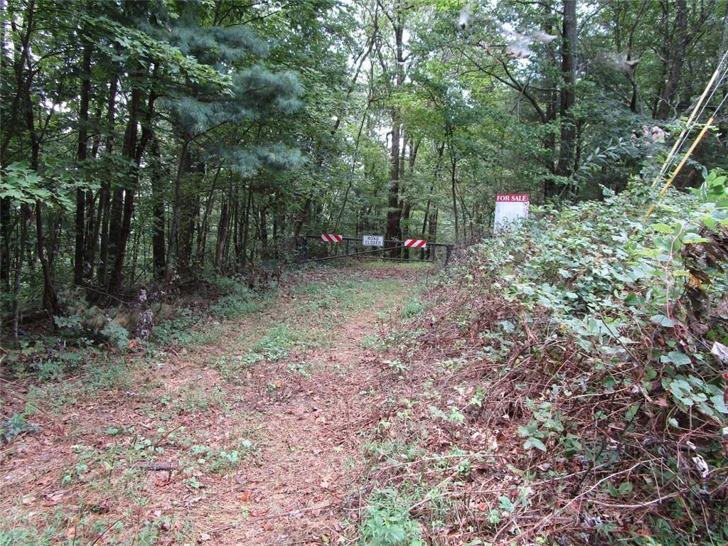 Pristine forested land with Million Dollar Long Range Views from multiple locations. Beautiful waterfalls. Spring fed creek. Surrounded on 3 sides by US Forestry Land providing 134 acres of Pure Privacy! Yet only 5 to 10 minutes from downtown Ellijay and all it's restaurants and shops. Easy access to 575/515 or I-75. Easy drive to Carters Lake and Chatsworth, as well. Two to 3 minutes from Fort Mountain State Park for fishing and hiking and swimming. A 'Must see" property. Build your dream home, maybe start a vineyard.