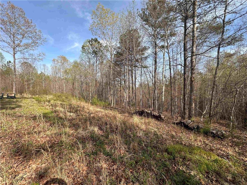 County Road 480, Fruithurst, Alabama image 3