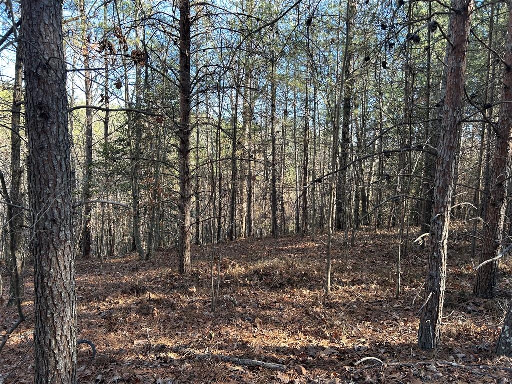 00000 Twin River Orchard Road