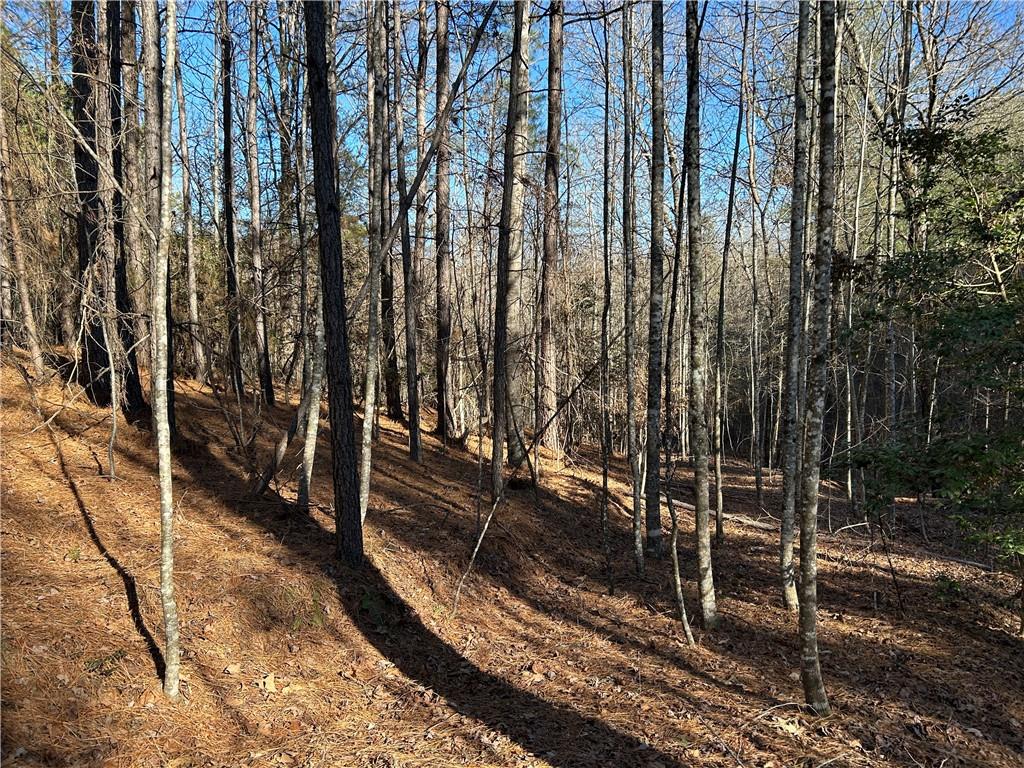 00000 Twin River Orchard Road