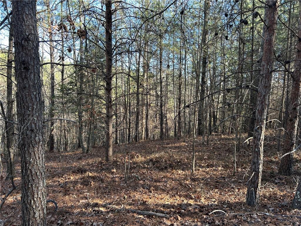 00000 Twin River Orchard Road