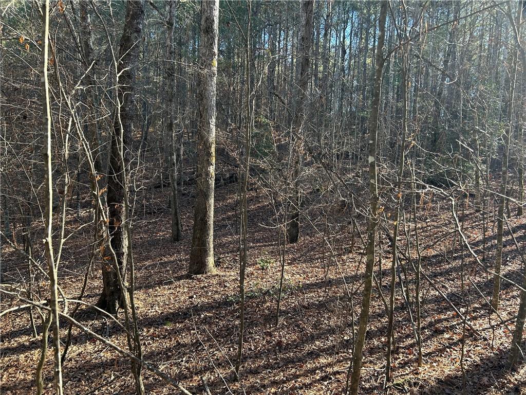 00000 Twin River Orchard Road