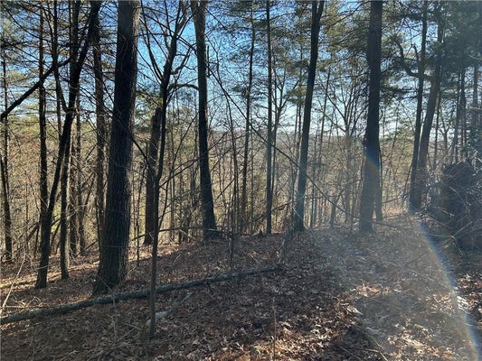 145 TWIN RIVER RD, DEMOREST, GA 30535 - Image 1cbb5faa5c5fbbd8246e7e74c4de0dc9/3746922227