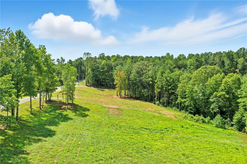 Photo of 3511 Reavis Mountain #2 Road, Ball Ground, GA 30107 (MLS # 7840605)