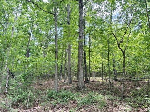 Vacant Land For Sale - 377 W Oak Grove Road<br/> Adairsville, GA 30103