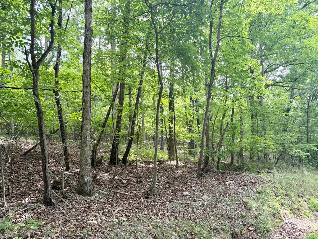377 W Oak Grove Road NW