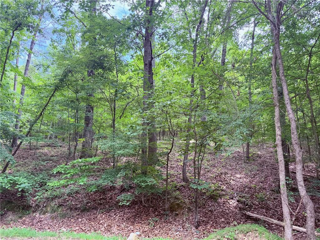 377 W Oak Grove Road NW