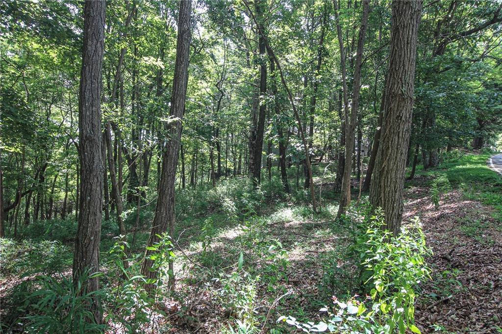 8088 Ridgeview Drive