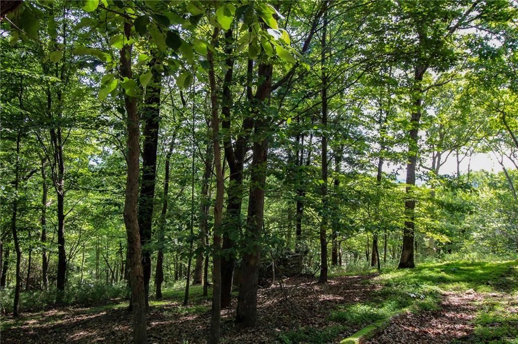 Photo of 8088 Ridgeview Drive, Big Canoe, GA 30143 (MLS # 7685442)