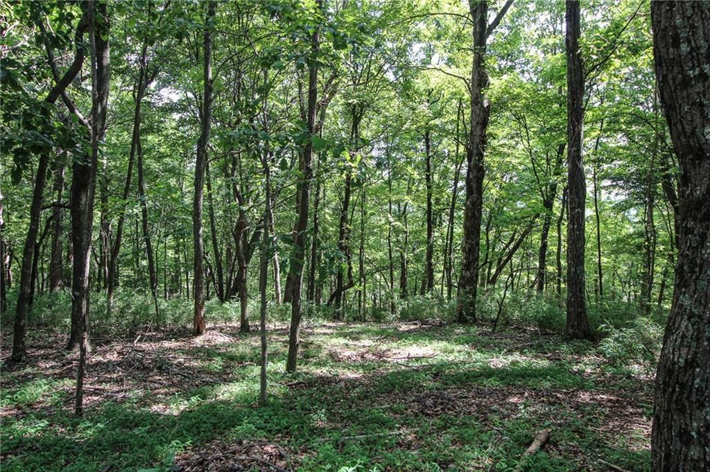 Photo of 8088 Ridgeview Drive, Big Canoe, GA 30143 (MLS # 7685442)