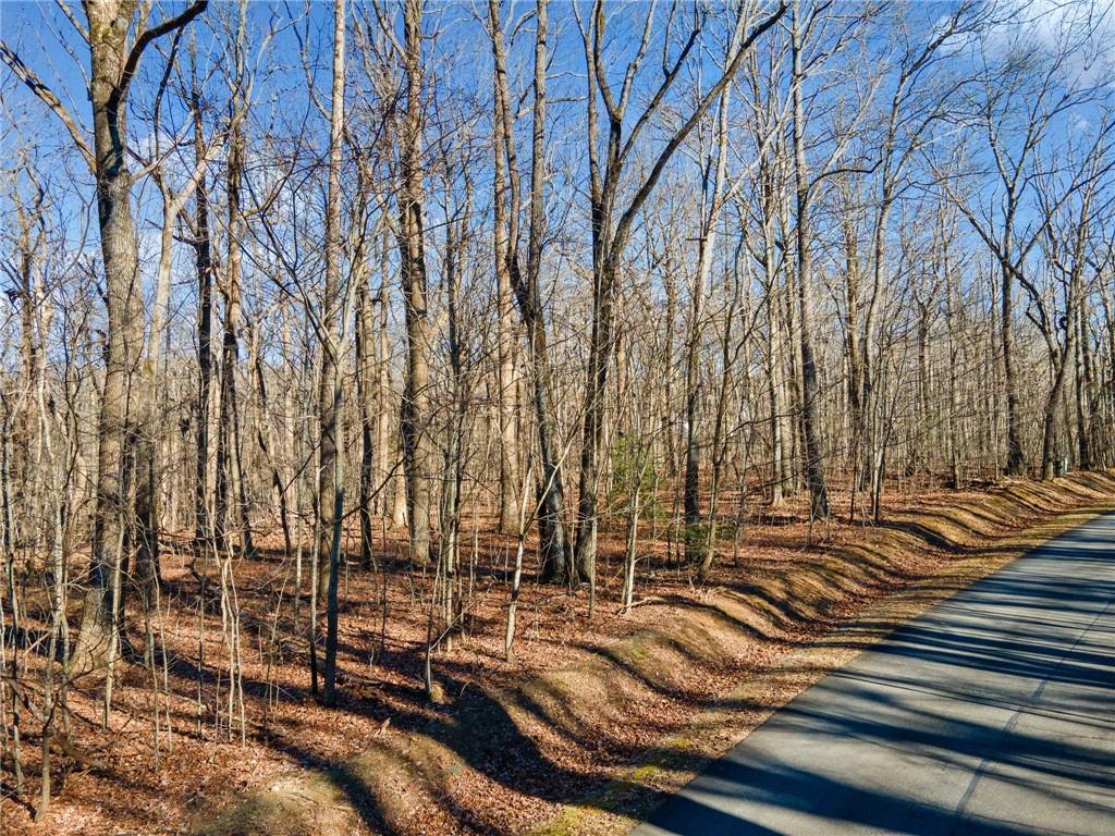 St Andrews Way, Ellijay, Georgia image 4