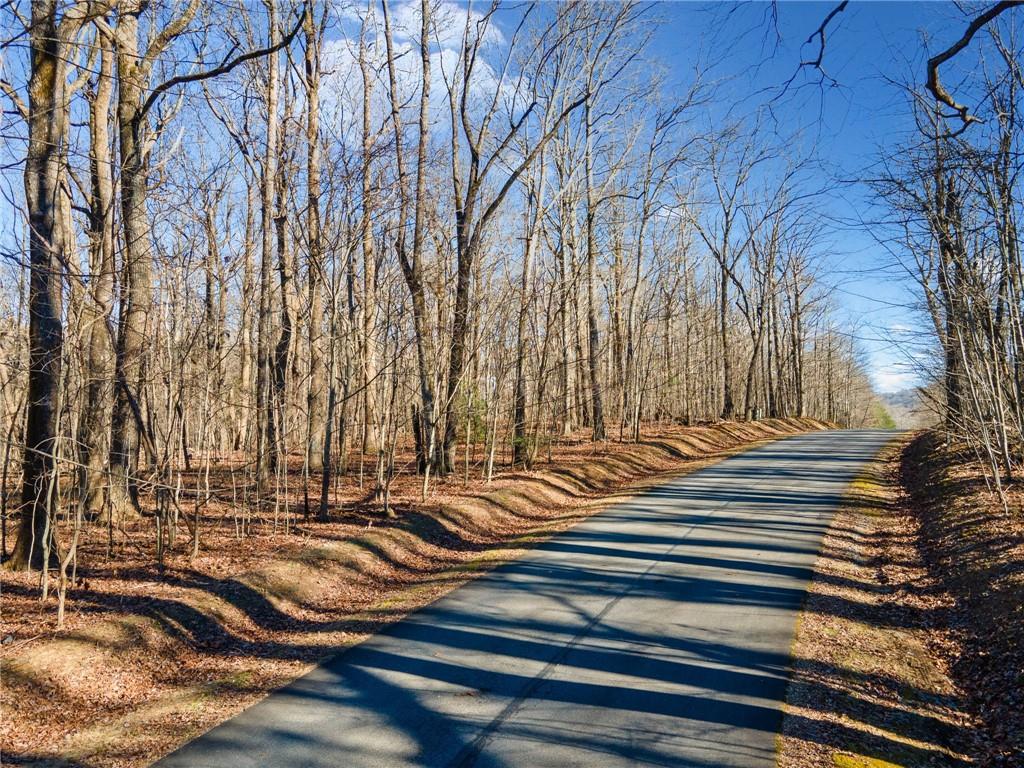 St Andrews Way, Ellijay, Georgia image 2