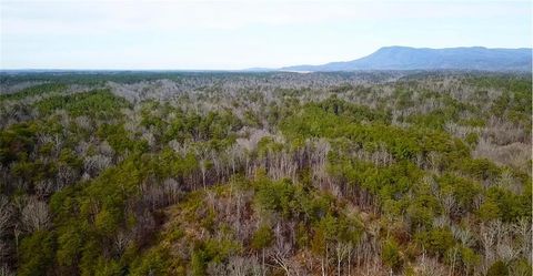 Vacant Land For Sale - Conniston Road<br/> Chatsworth, GA 30705