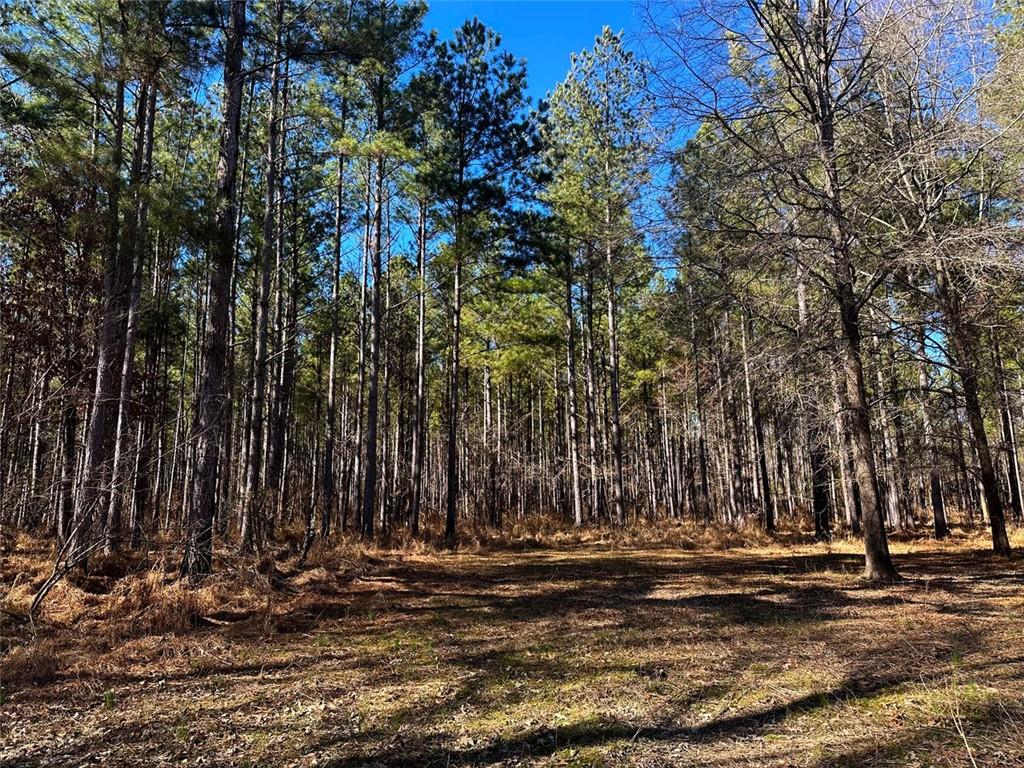 Conniston Rd, Chatsworth, Georgia image 10