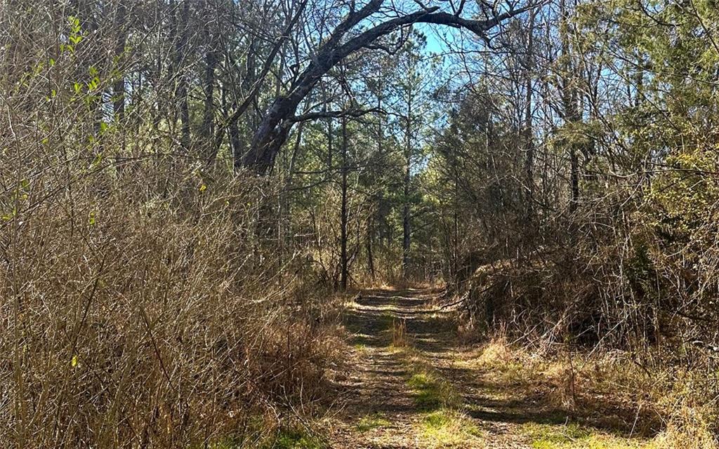 Conniston Rd, Chatsworth, Georgia image 12