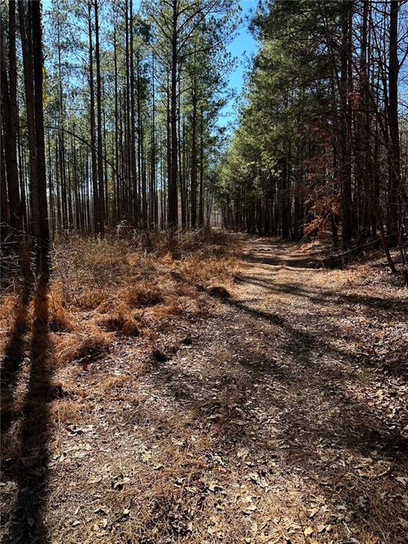 Conniston Rd, Chatsworth, Georgia image 15