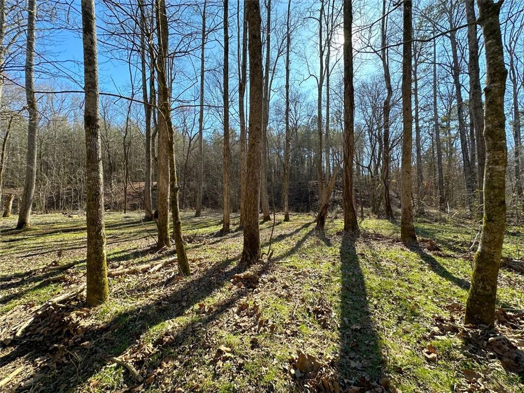 Conniston Rd, Chatsworth, Georgia image 13