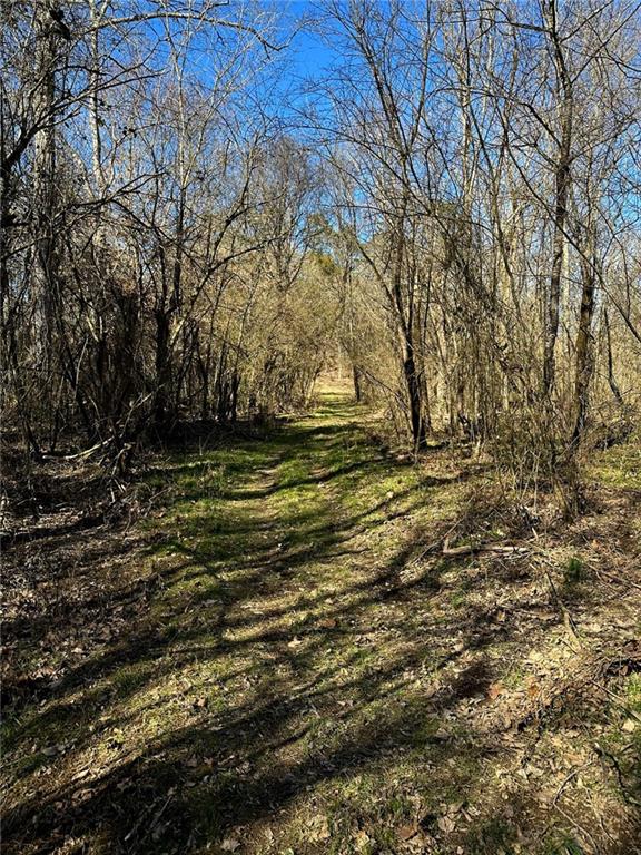 Conniston Rd, Chatsworth, Georgia image 11