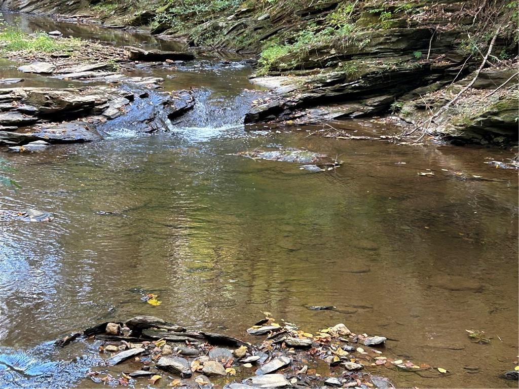 204 Law Ground Creek Road, Talking Rock, Georgia image 7