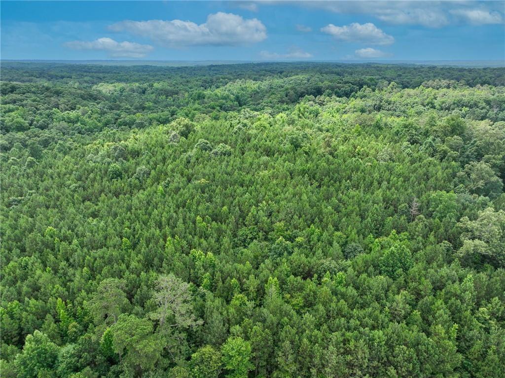 2630 Hwy 138, Conyers, Georgia image 8