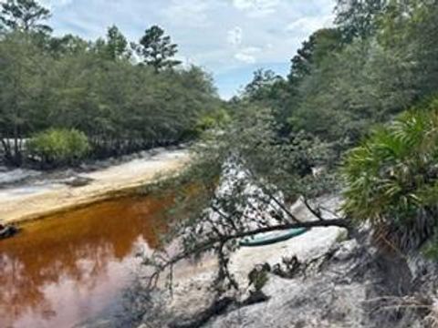 Vacant Land For Sale - 0000 St. Mary's River Bluff, Ltd<br/> Saint George, GA 31562