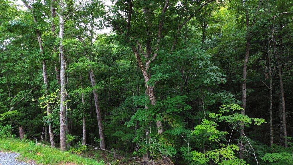 LOT 6 Allaire Lane