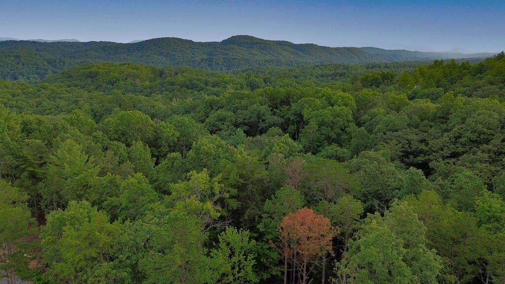 LOT 6 Allaire Lane