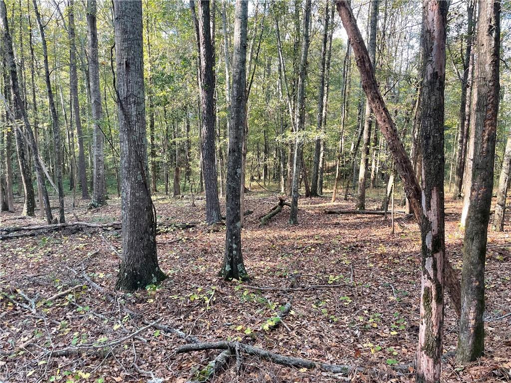44 County Line Auburn Road R