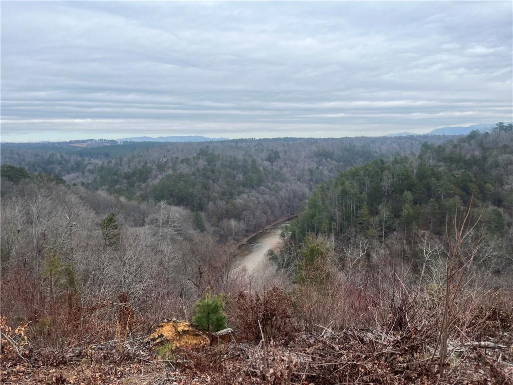 Lot 90 Jakes Landing Way, Ellijay, Georgia image 4