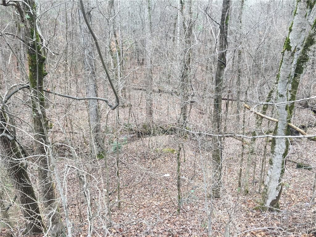 listing image 0