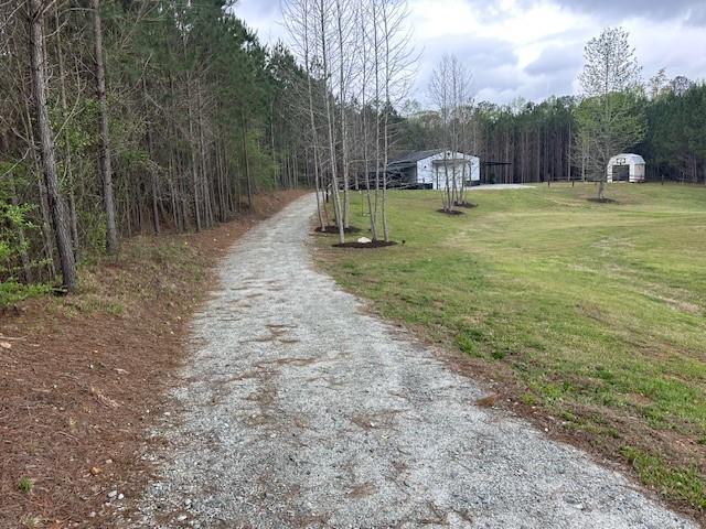 10281 Forrest Road, Grantville, Georgia image 24